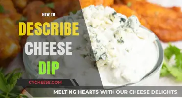 Creamy, Savory, Irresistible: Mastering the Art of Describing Cheese Dip