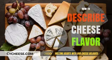 Mastering Cheese Tasting: Articulating Complex Flavors and Textures