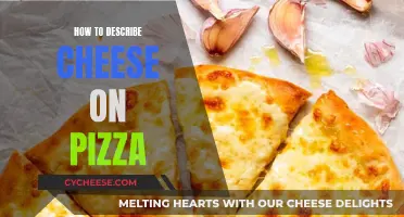 Cheese on Pizza: A Sensory Journey