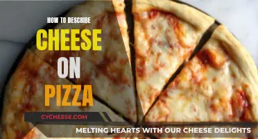 The Art of Describing Cheesy Pizza Perfection
