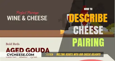 Mastering Cheese Pairing: Tips for Perfect Flavor Combinations