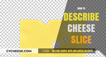 Mastering the Art of Describing the Perfect Cheese Slice