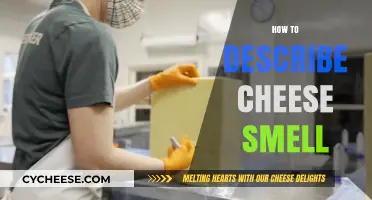 Mastering the Art of Describing Cheese Aromas: A Sensory Guide