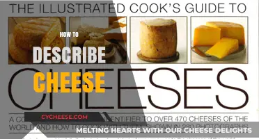Mastering the Art of Describing Cheese: Flavors, Textures, and Aromas