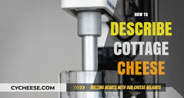 Exploring Cottage Cheese: Texture, Taste, and Culinary Versatility Unveiled