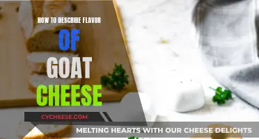 Tasting the Unique Flavors: A Guide to Goat Cheese Palate