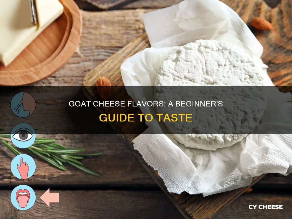 how to describe flavor of goat cheese