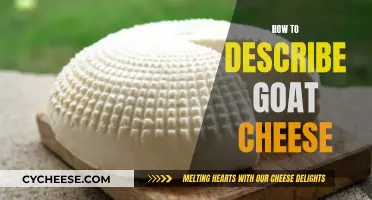 Taste, Texture, and Toppings: A Guide to Describing Goat Cheese