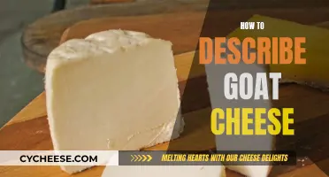 Goat Cheese: A Beginner's Guide to Flavorful Description