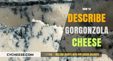 Exploring Gorgonzola: A Guide to Describing Its Unique Flavor and Texture