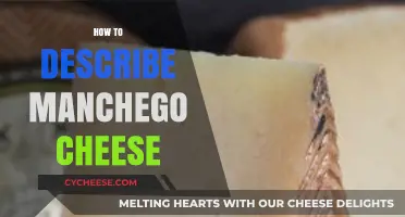 Exploring Manchego Cheese: Texture, Flavor, and Pairing Tips