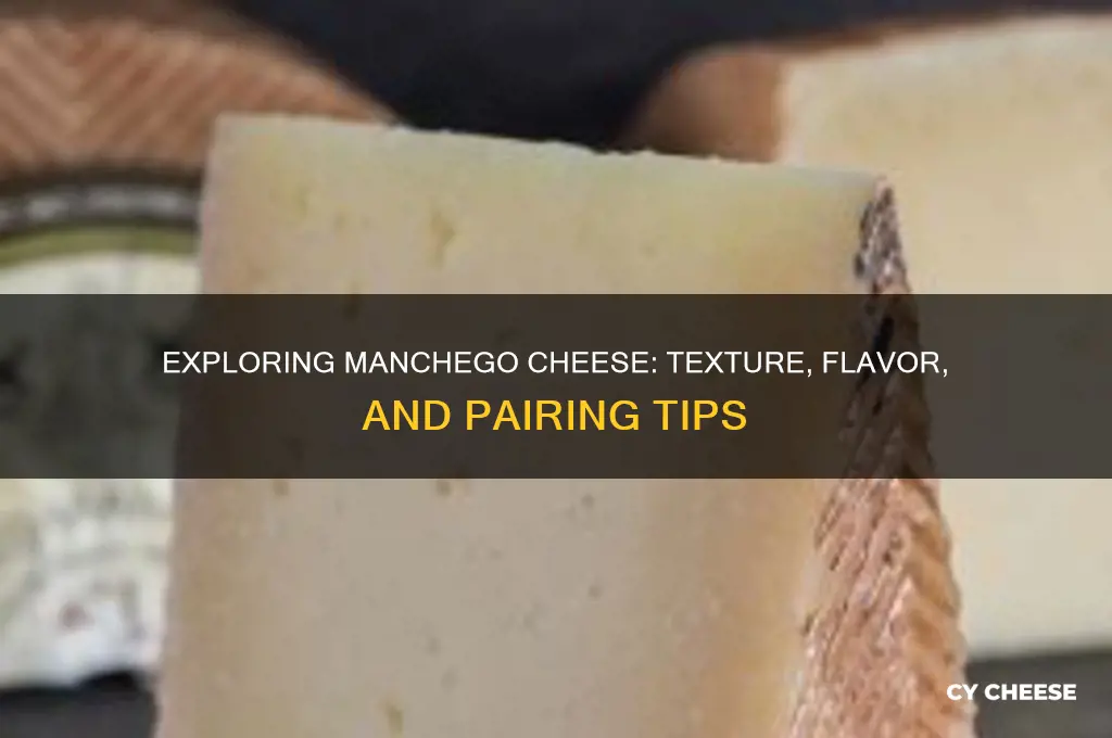 how to describe manchego cheese