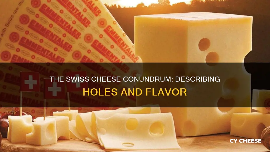 how to describe swiss cheese