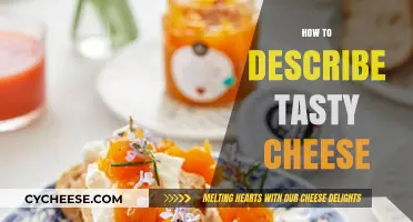Mastering the Art of Describing Irresistible, Flavorful Cheese Delights