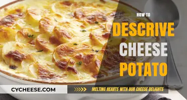 Mastering the Art of Describing Creamy Cheese Potato Delights