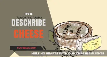 Mastering the Art of Describing Cheese: Flavors, Textures, and Aromas