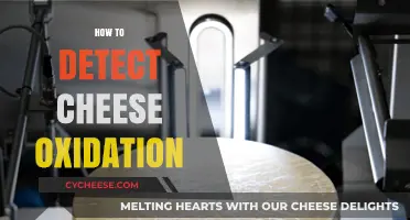 Detecting Cheese Oxidation: Tips to Spot Rancid Cheese Easily