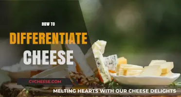 Mastering Cheese Varieties: A Guide to Differentiating Cheese Like a Pro