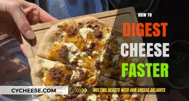 Quick Tips for Faster Cheese Digestion: Boost Comfort and Enjoyment