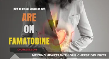 Digesting Cheese While on Famotidine: Tips for Comfortable Enjoyment
