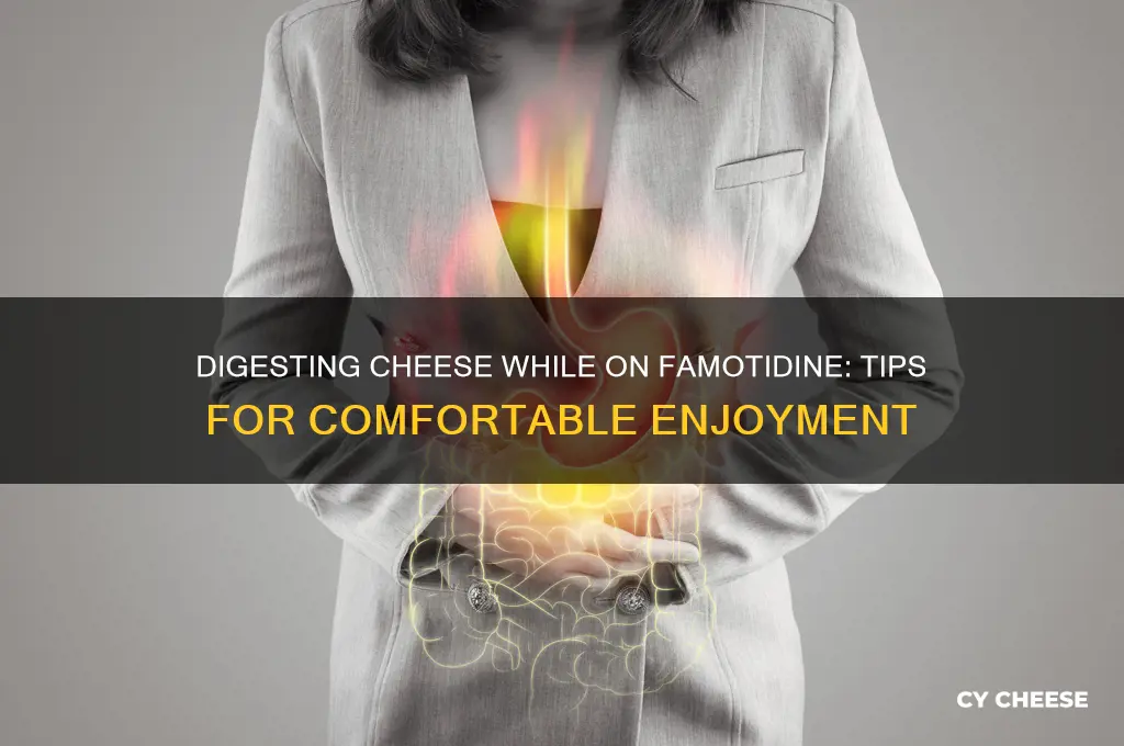 how to digest cheese if you are on famatodine