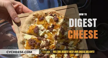 Mastering Cheese Digestion: Tips for Enjoying Dairy Without Discomfort