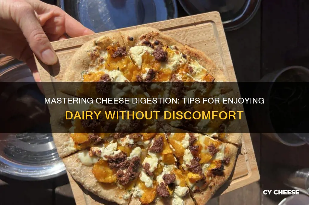 how to digest cheese