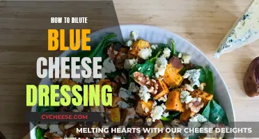 Diluting Blue Cheese Dressing: Simple Tips for a Perfect Mix
