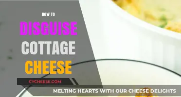 Creative Ways to Disguise Cottage Cheese in Your Favorite Dishes