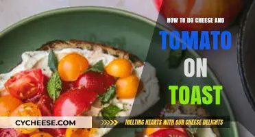 Perfectly Crispy Cheese and Tomato Toast: A Simple Breakfast Recipe