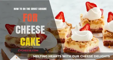 Mastering the Perfect Square Crust for Your Cheesecake Every Time