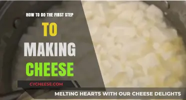 Mastering Cheese Making: Your Essential Guide to the First Step