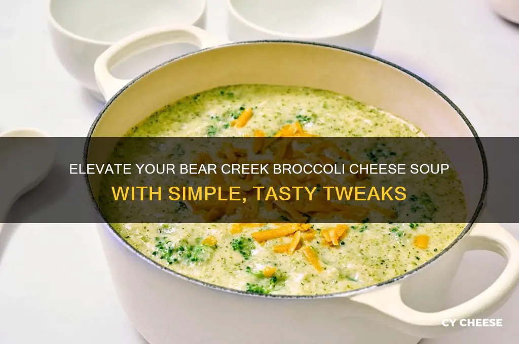 how to doctor up bear creek broccoli cheese soup