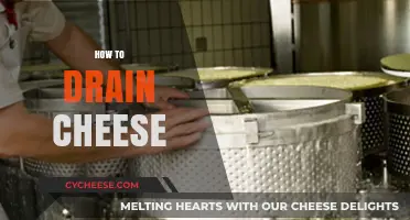 Mastering the Art of Draining Cheese for Perfect Texture and Flavor