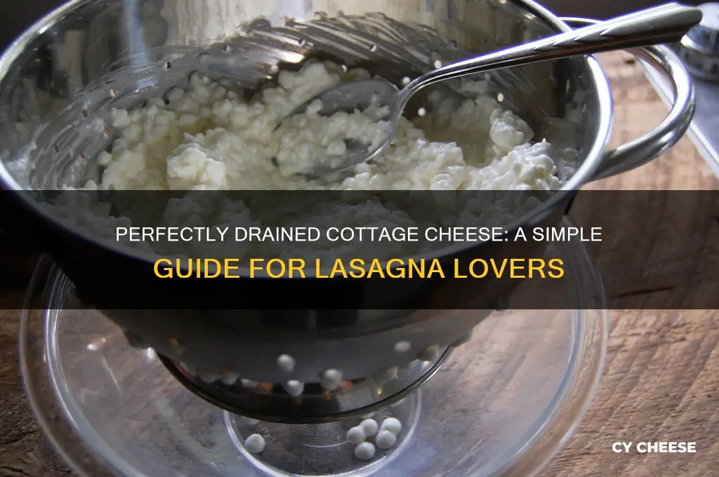 how to drain cottage cheese for lasagna