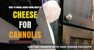 Mastering Cannoli Filling: Draining Ricotta Cheese for Perfect Results