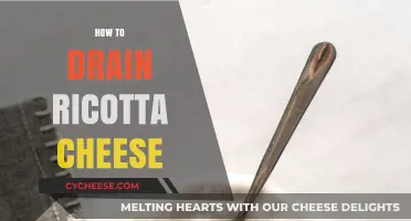 Mastering Ricotta Drainage: Simple Steps for Creamy, Perfect Results