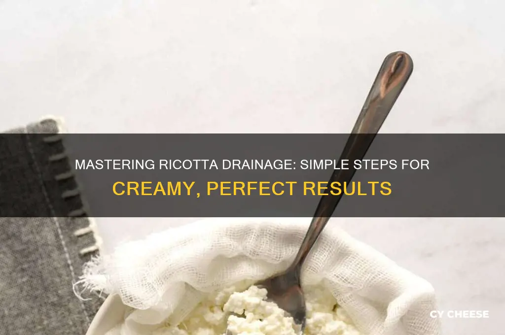 how to drain ricotta cheese
