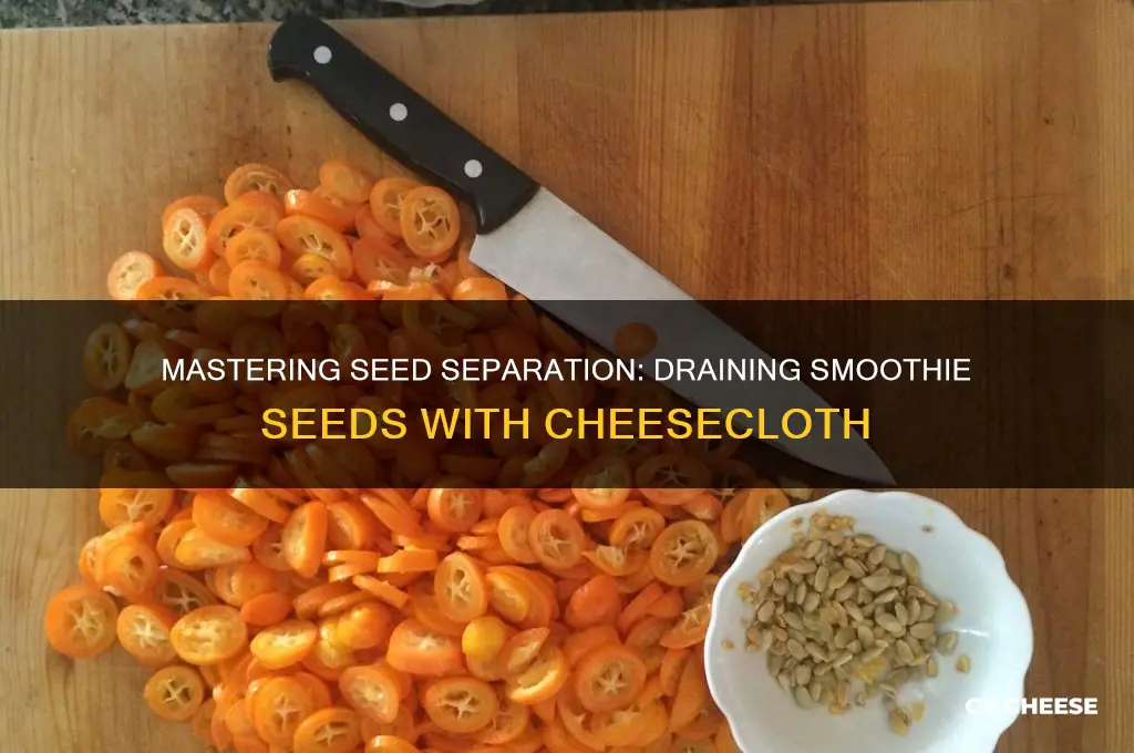 how to drain seeds from smoothie cheese cloth