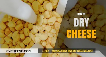 Mastering the Art of Drying Cheese: Tips for Perfect Preservation