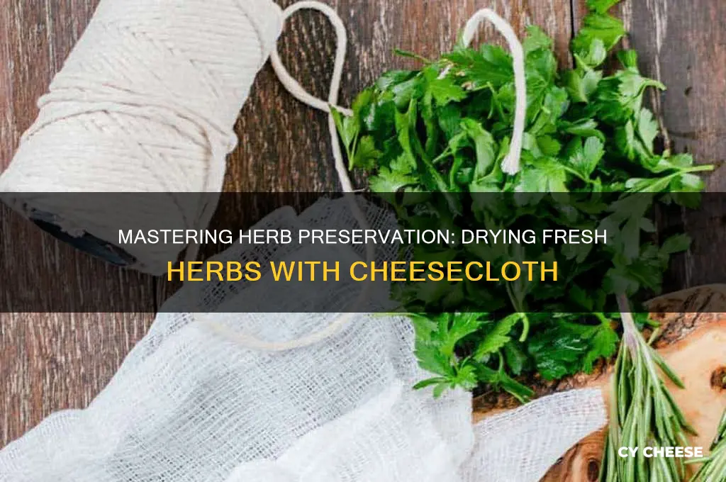 how to dry fresh herbs with cheese cloth