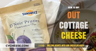 Quick Tips for Drying Out Cottage Cheese at Home