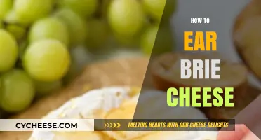 Mastering Brie: A Guide to Enjoying This Creamy French Cheese