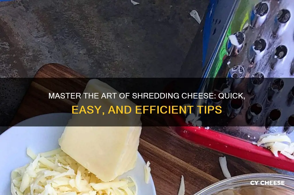 how to easily shred cheese