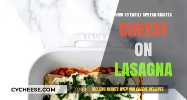 Mastering Ricotta Spread: Simple Tips for Perfect Lasagna Layers