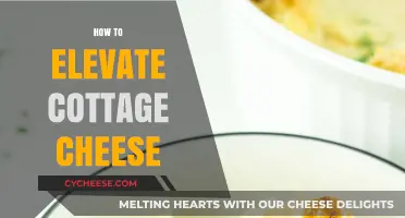 Transform Cottage Cheese: Creative Ways to Elevate Your Culinary Experience