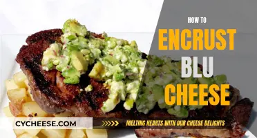 Enhancing Blue Cheese: Encrusting Techniques for a Flavorful Kick