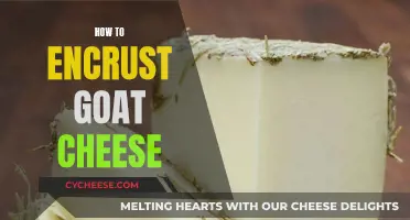 Enhancing Goat Cheese: Creative Encrusting Techniques for a Tasty Twist