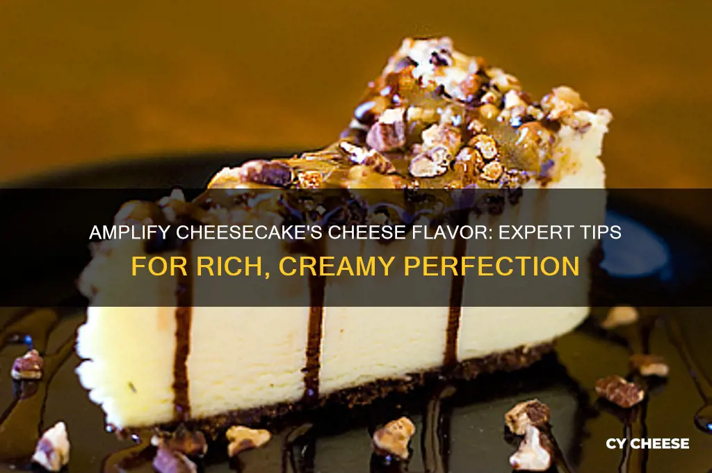 how to enhance the cheese flavor in your cheesecake