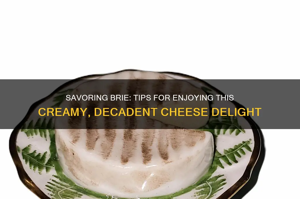how to enjoy brie cheese